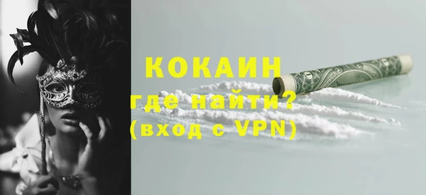 индика Армянск