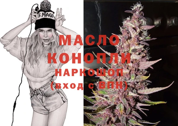 индика Армянск