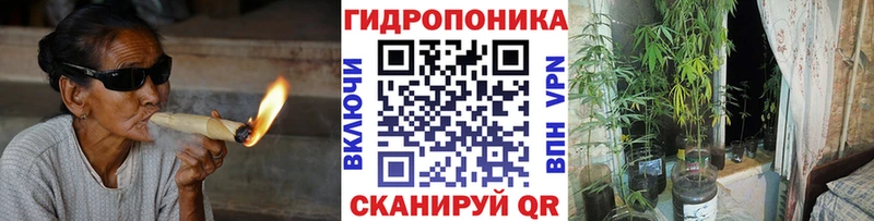 Конопля сатива Салехард